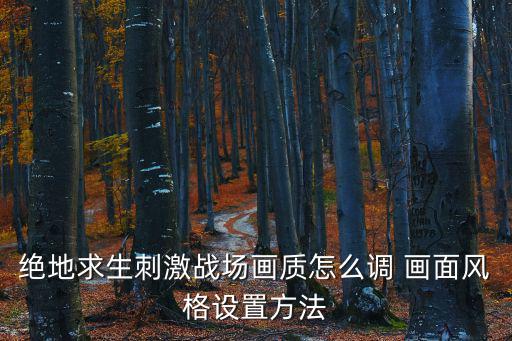 绝地求生刺激战场画质怎么调 画面风格设置方法