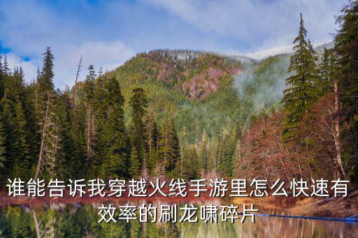 最近cf手游怎么获得龙啸，谁能告诉我穿越火线手游里怎么快速有效率的刷龙啸碎片