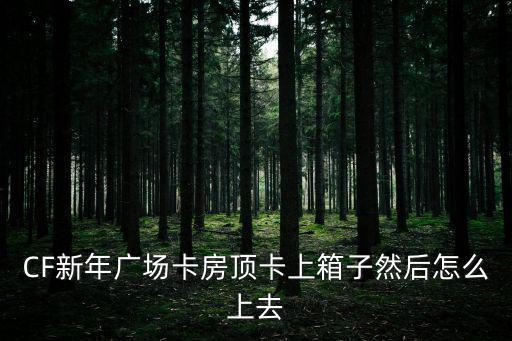 CF新年广场卡房顶卡上箱子然后怎么上去
