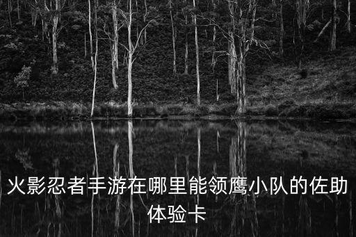 火影手游怎么拿忍者体验卡，火影忍者新区怎么搞佩恩体验卡