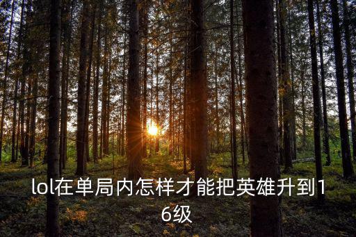 lol在单局内怎样才能把英雄升到16级