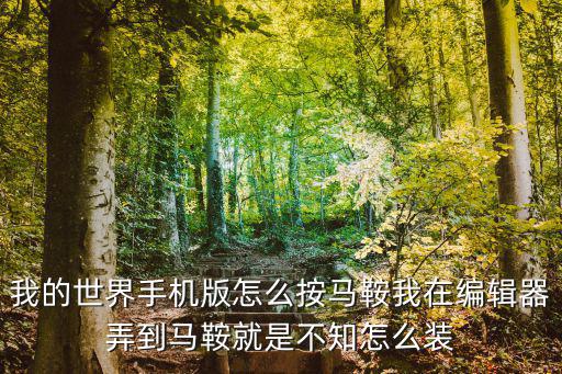 我的世界手机版怎么按马鞍我在编辑器弄到马鞍就是不知怎么装