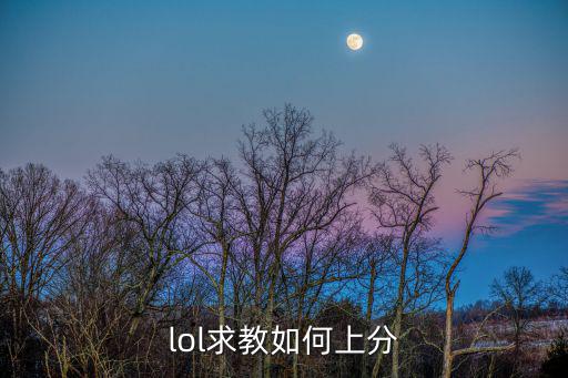 lol求教如何上分