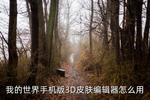 我的世界手机版3D皮肤编辑器怎么用