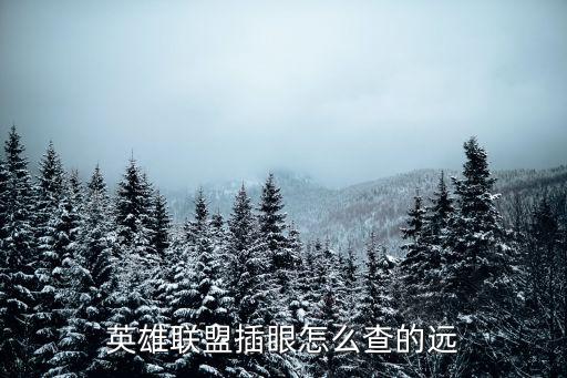 英雄联盟插眼怎么查的远