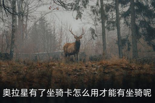 奥拉星有了坐骑卡怎么用才能有坐骑呢