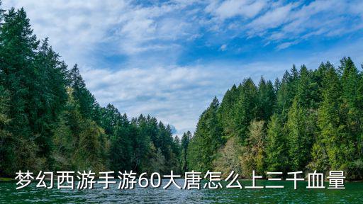 梦幻西游手游60大唐怎么上三千血量