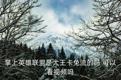 掌上英雄联盟是大王卡免流的吗 可以看视频吗