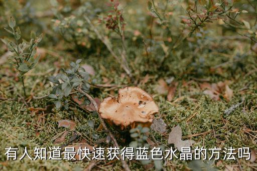 有人知道最快速获得蓝色水晶的方法吗