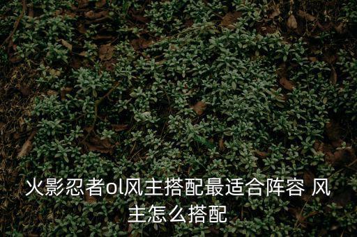 火影忍者ol风主搭配最适合阵容 风主怎么搭配