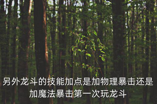 另外龙斗的技能加点是加物理暴击还是加魔法暴击第一次玩龙斗