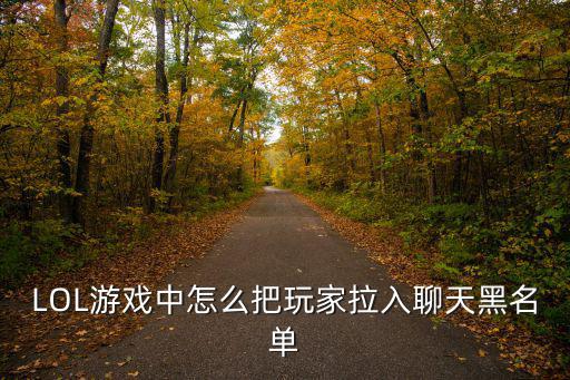 LOL游戏中怎么把玩家拉入聊天黑名单