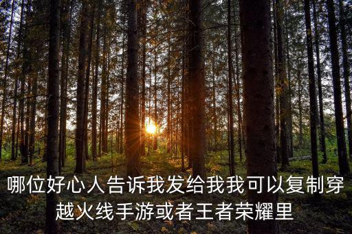 哪位好心人告诉我发给我我可以复制穿越火线手游或者王者荣耀里