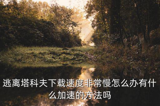 逃离塔科夫下载速度非常慢怎么办有什么加速的方法吗