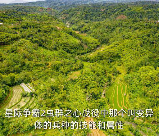 星际争霸2虫群之心战役中那个叫变异体的兵种的技能和属性