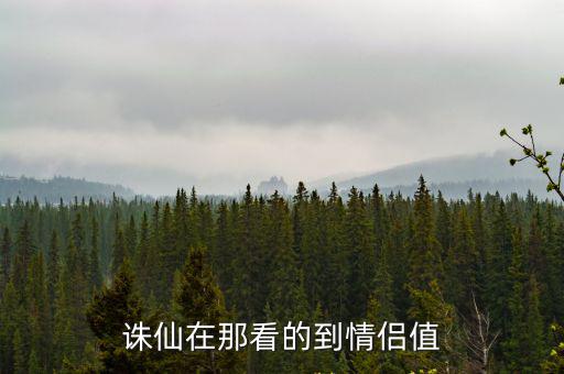 诛仙在那看的到情侣值