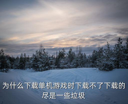 为什么下载单机游戏时下载不了下载的尽是一些垃圾