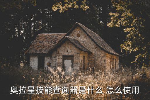 奥拉星技能查询器是什么 怎么使用