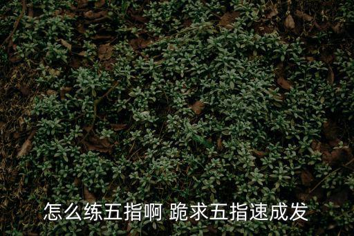 怎么练五指啊 跪求五指速成发