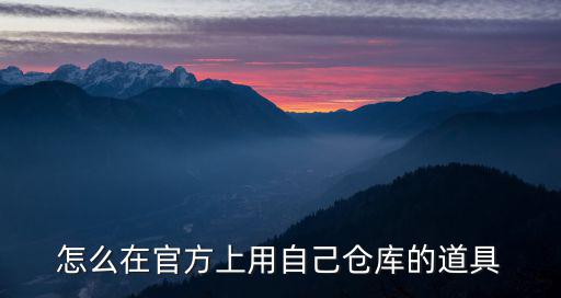 怎么在官方上用自己仓库的道具