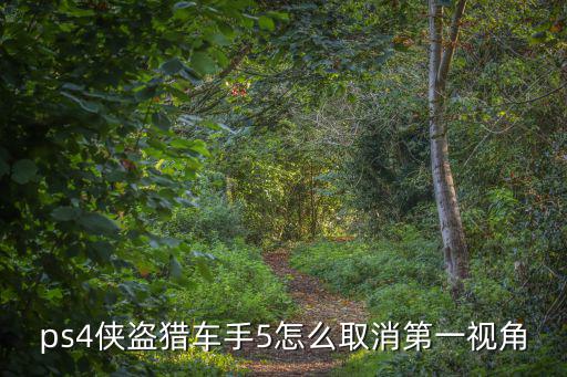 手游gtasa怎么关闭第一人称，怎么卸掉GTASA的第一人称