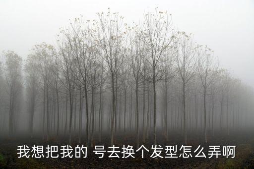 我想把我的 号去换个发型怎么弄啊