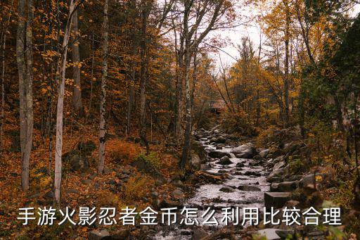 手游火影忍者金币怎么利用比较合理