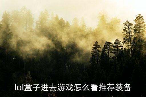 lol盒子进去游戏怎么看推荐装备
