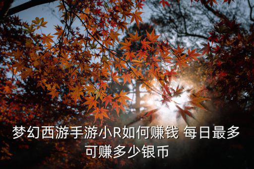 梦幻西游手游小R如何赚钱 每日最多可赚多少银币