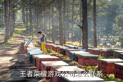 手游公司怎么拉客户，怎样出去拉客户