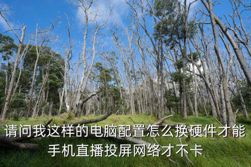 请问我这样的电脑配置怎么换硬件才能手机直播投屏网络才不卡