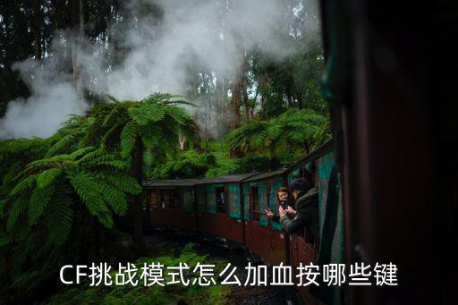 cf手游挑战模式吸血怎么搞，穿走火线挑战中咋吃血的