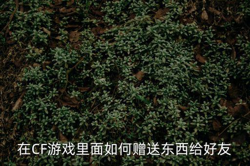 在CF游戏里面如何赠送东西给好友