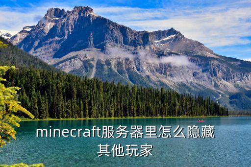 mc手游怎么把伙伴隐藏，minecraft联机如何隐藏玩家的名字