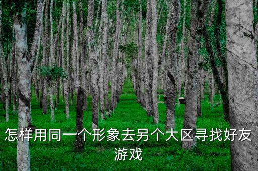 怎样用同一个形象去另个大区寻找好友游戏