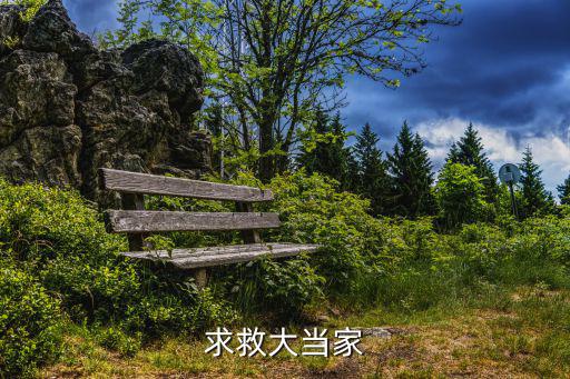 求救大当家