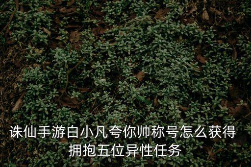 诛仙手游情侣头像背影怎么获得，诛仙手游白小凡夸你帅称号怎么获得 拥抱五位异性任务