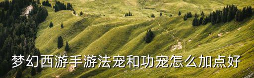 梦幻手游平民法宠怎么加点，梦幻诛仙手游法宠攻宠血宠怎么加点 宝宝加点技巧大全