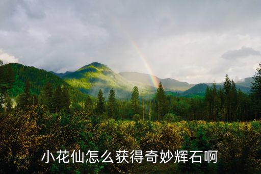 小花仙怎么获得奇妙辉石啊