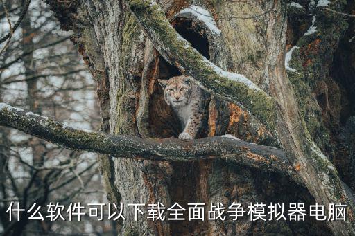 什么软件可以下载全面战争模拟器电脑