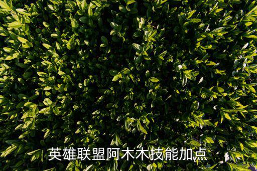 手游阿木木技能怎么点，阿木木应该穿什么样的装备 技能应该怎没点