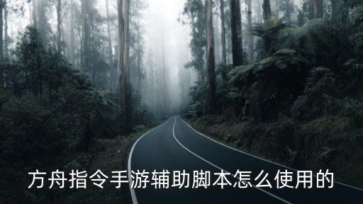 方舟指令手游辅助脚本怎么使用的