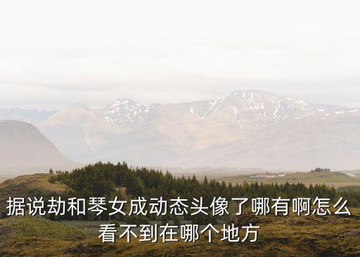 据说劫和琴女成动态头像了哪有啊怎么看不到在哪个地方