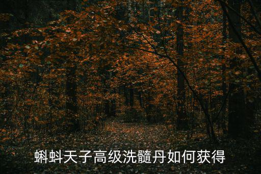 蝌蚪天子高级洗髓丹如何获得
