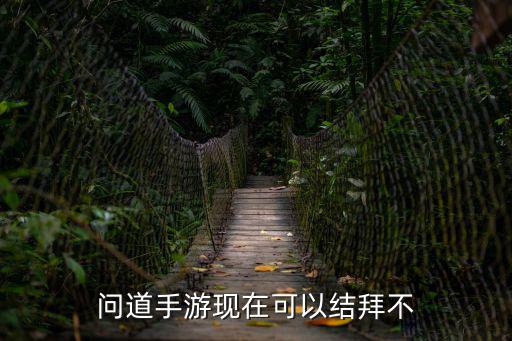问道手游现在可以结拜不