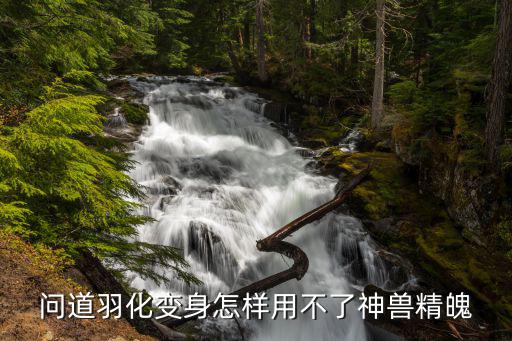 问道羽化变身怎样用不了神兽精魄