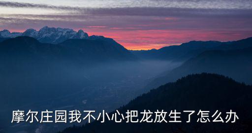 摩尔庄园我不小心把龙放生了怎么办
