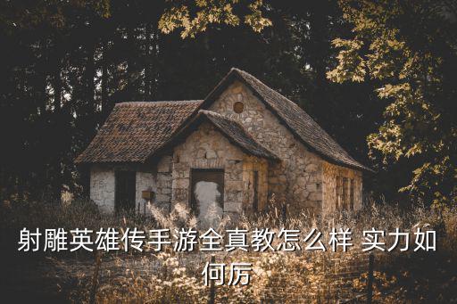 射雕英雄传手游全真教怎么样 实力如何厉