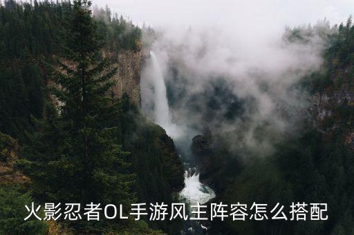 火影忍者OL手游风主阵容怎么搭配