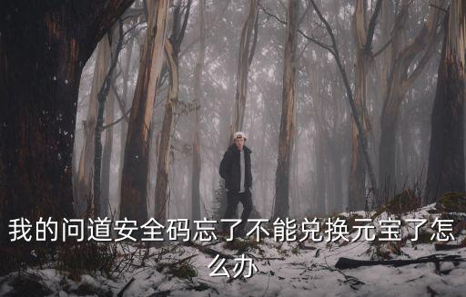 问道手游武极兑换码无效怎么办，问道手游小米用户在微信领的兑换码不能用